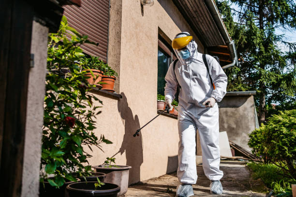 Flea Control Services in Belleville, MI