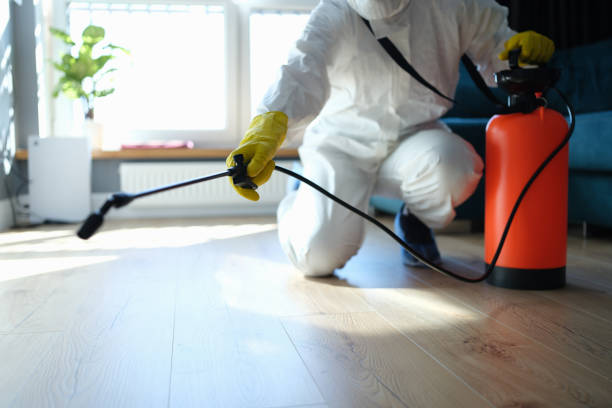 Best Cockroach Control Services  in Belleville, MI