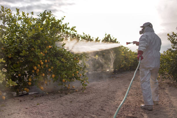 Best Termite Control Services  in Belleville, MI