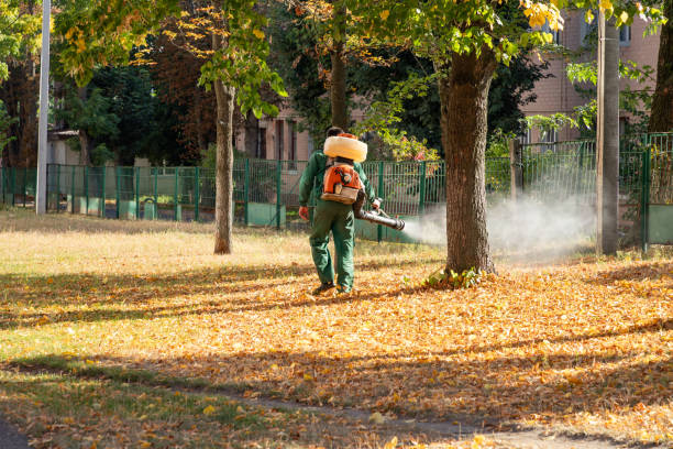 Best Wasp Removal Services  in Belleville, MI