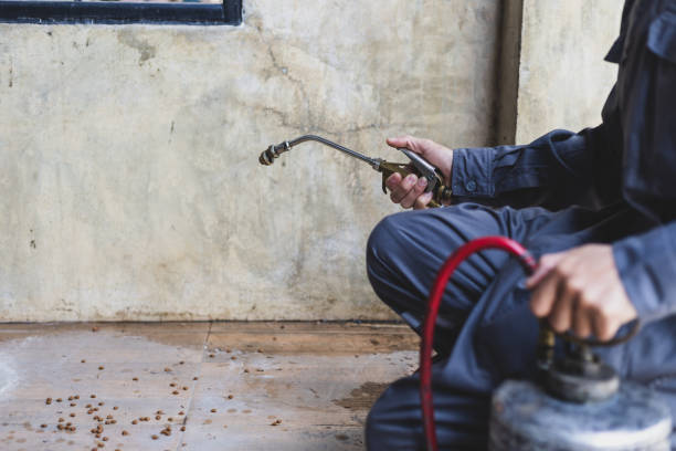 Best Pest Prevention Services  in Belleville, MI